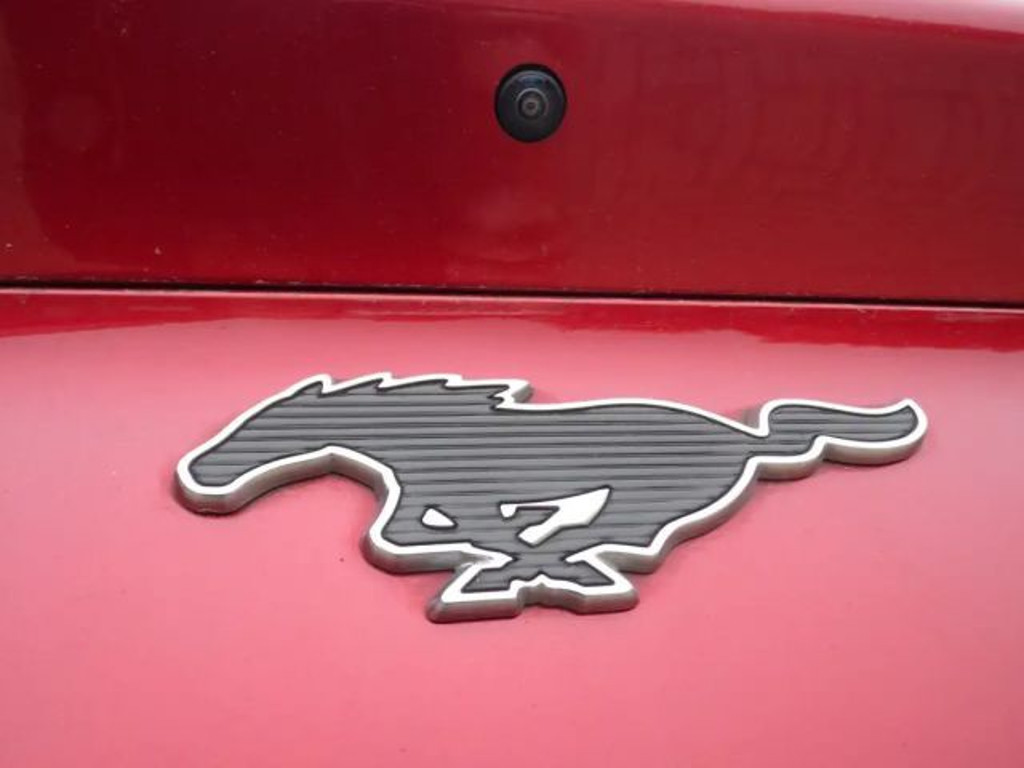 Ford Mustang Mach-E