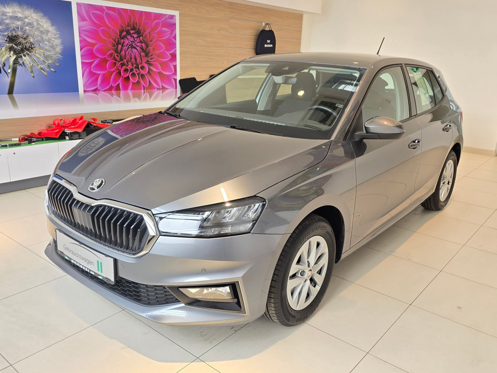 Skoda Fabia Selection