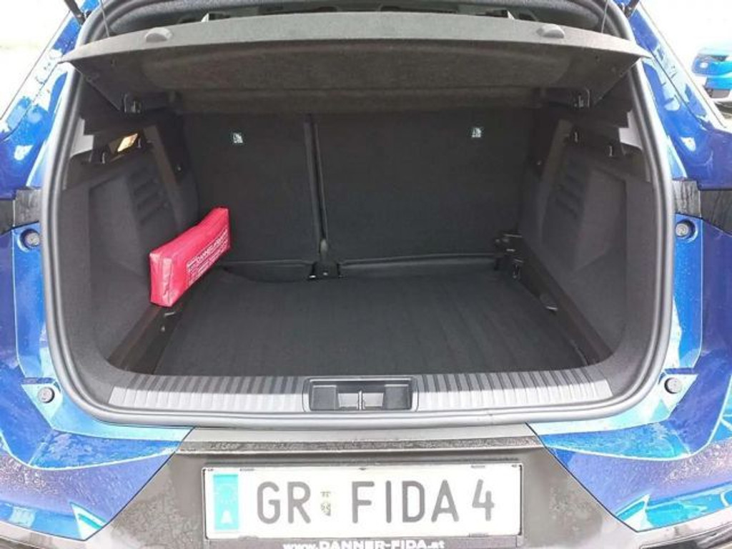 Mitsubishi Grandis