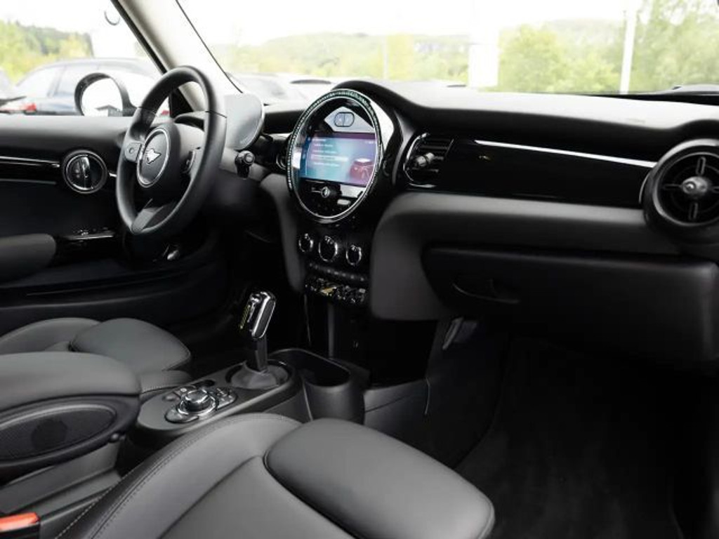 Mini Mini Electric