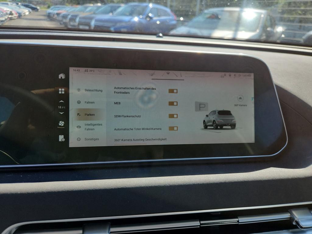 Ora Funky Cat