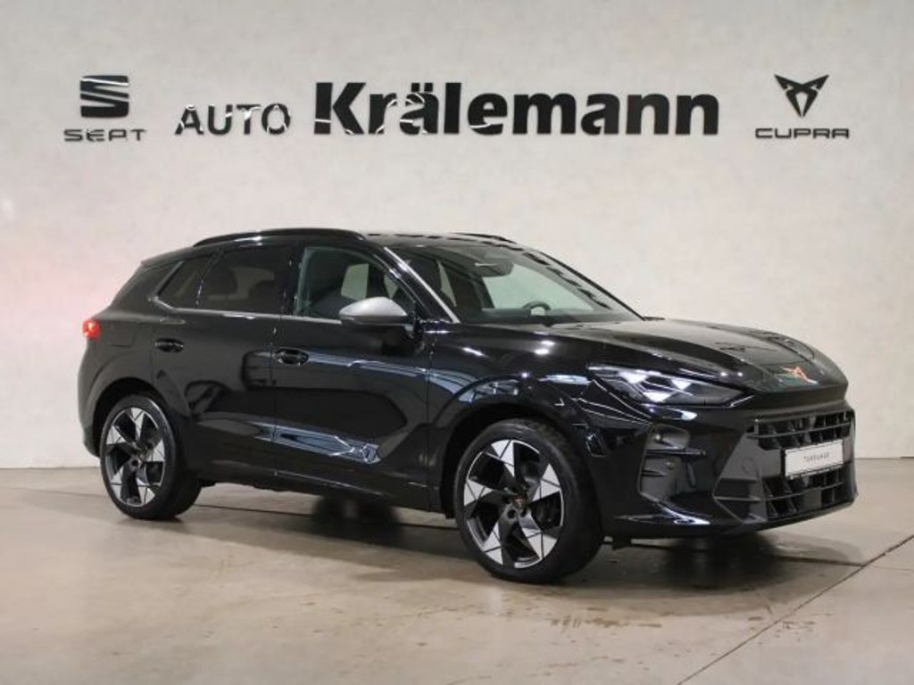 Cupra Terramar 2.0 TSI VZ
