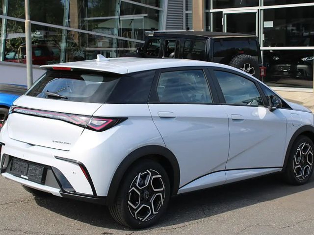 BYD Dolphin