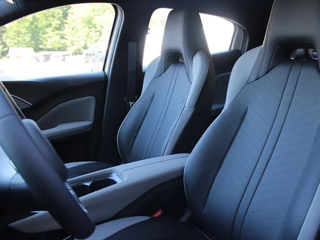 BYD Dolphin Surf