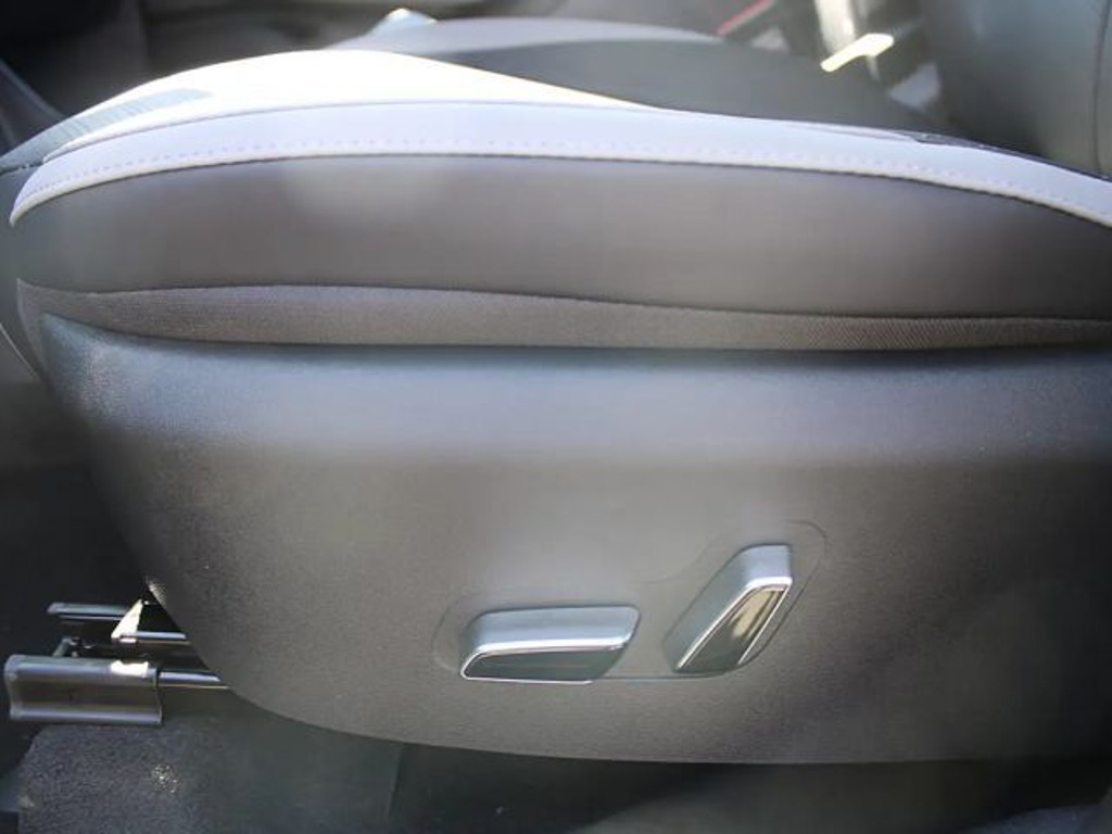 BYD Dolphin Surf