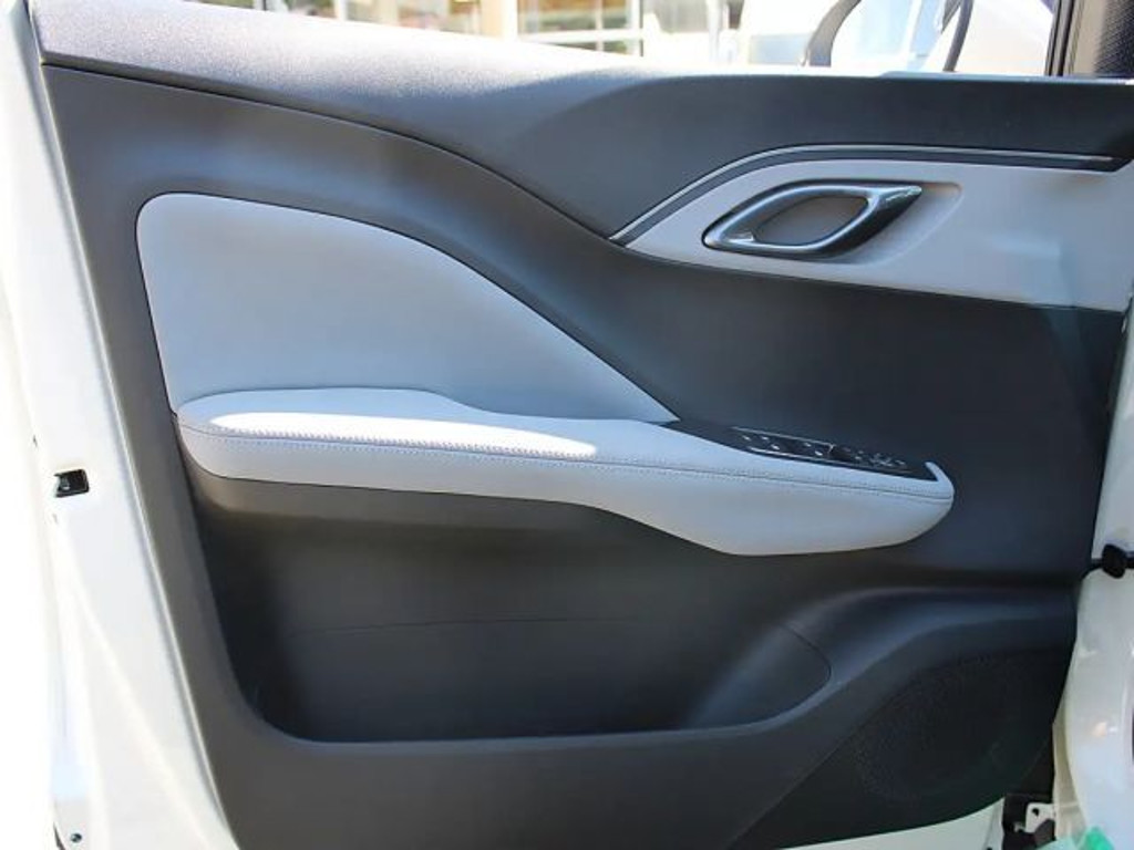BYD Dolphin Surf