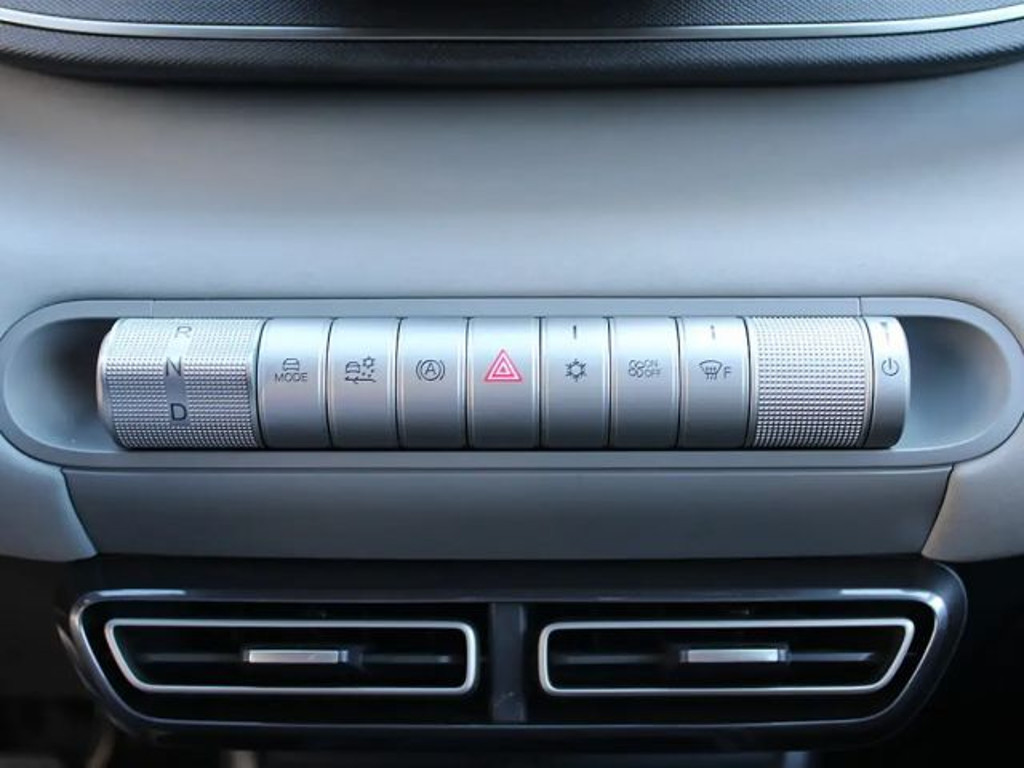 BYD Dolphin Surf