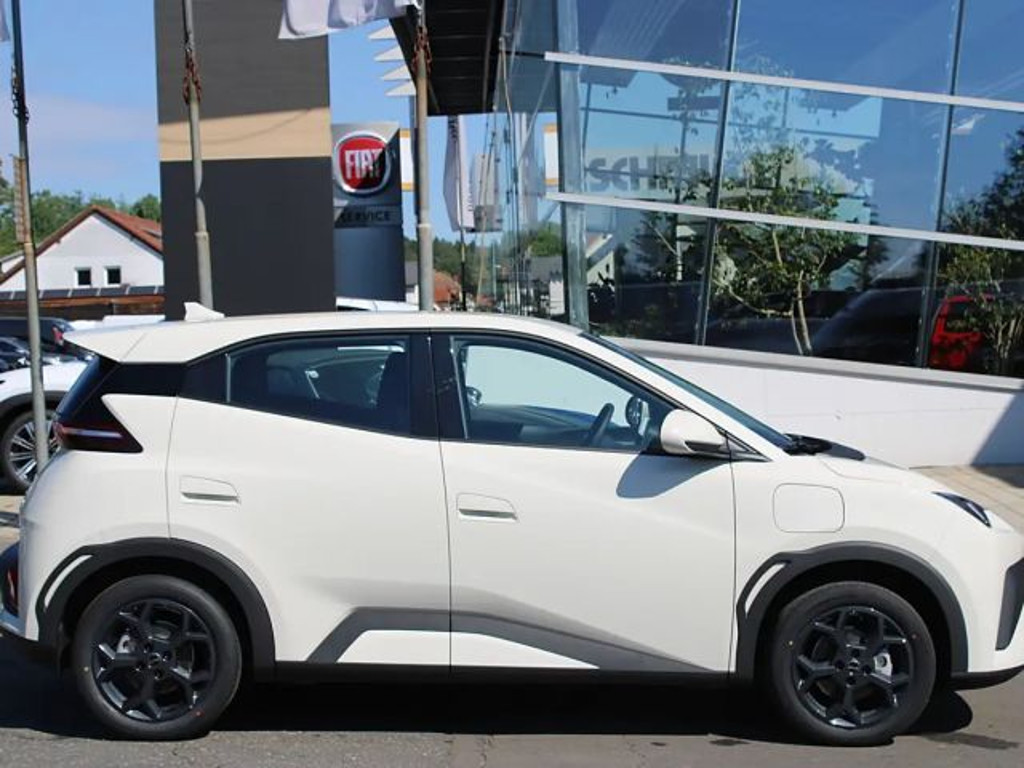 BYD Dolphin Surf