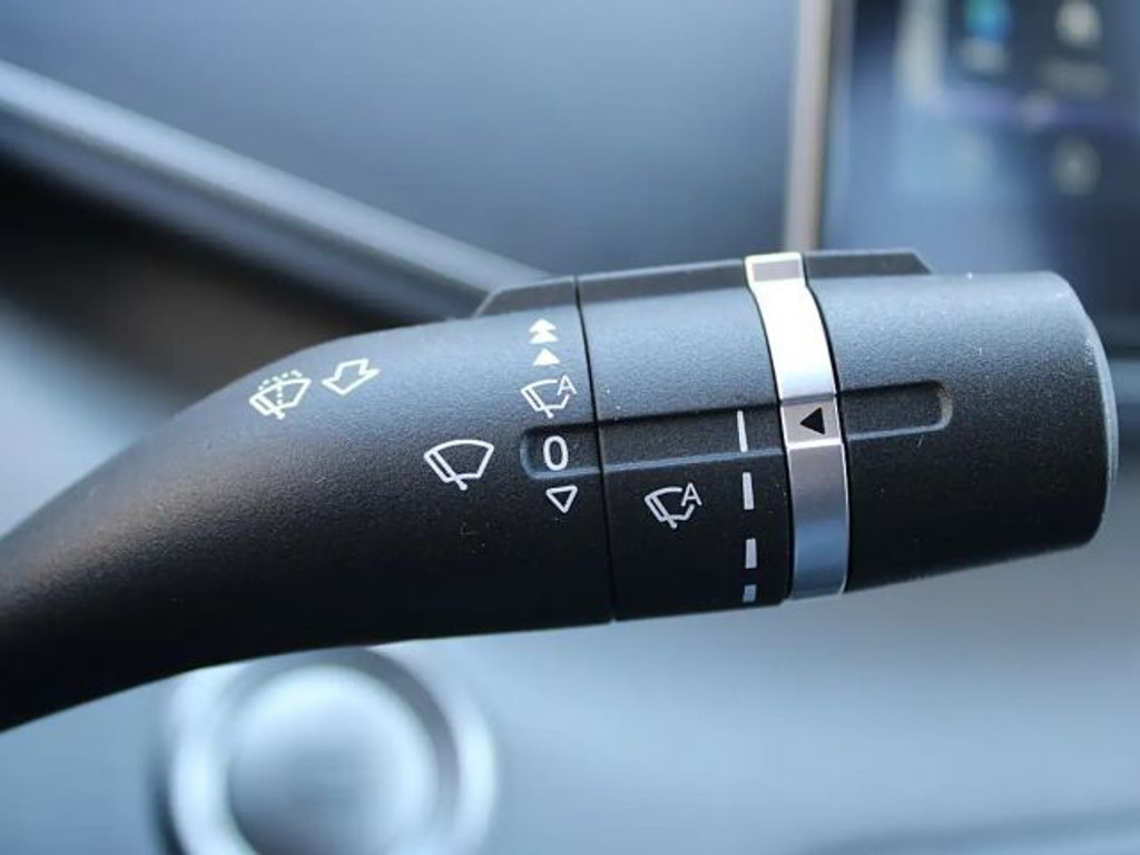 BYD Dolphin Surf
