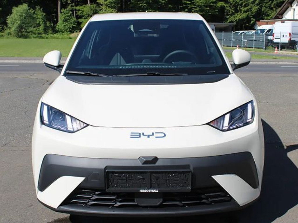 BYD Dolphin Surf