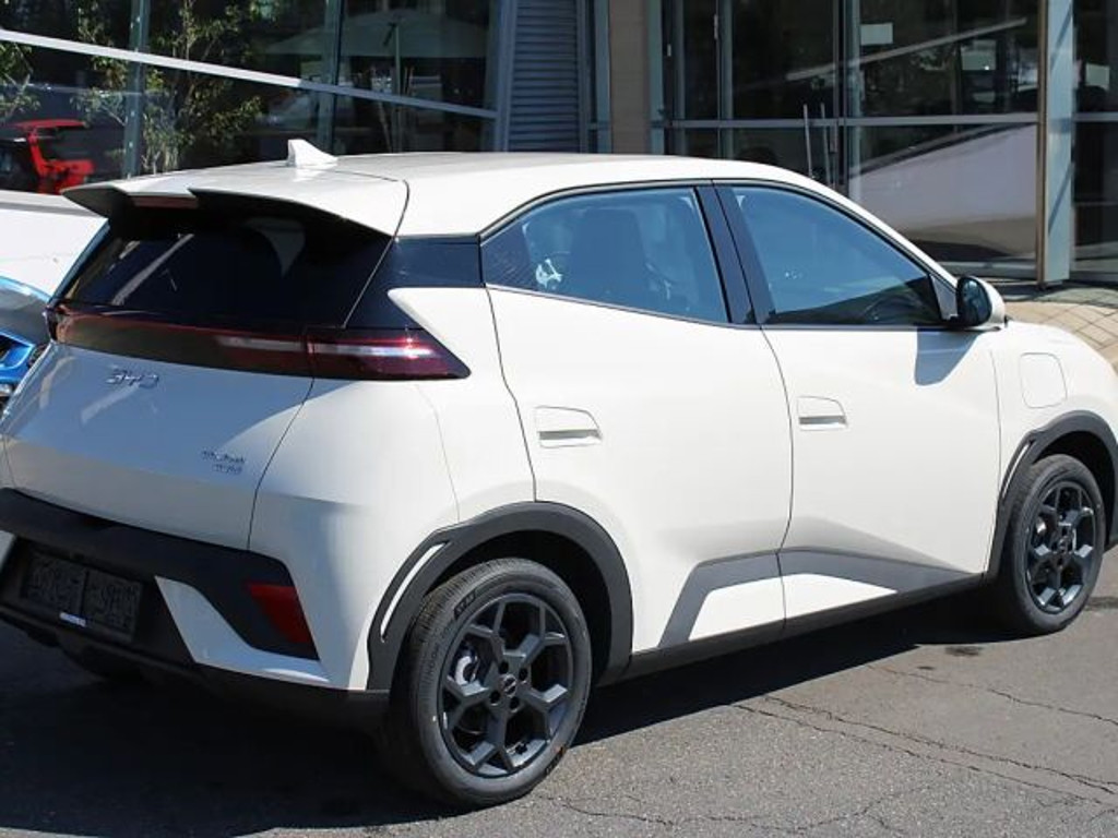 BYD Dolphin Surf