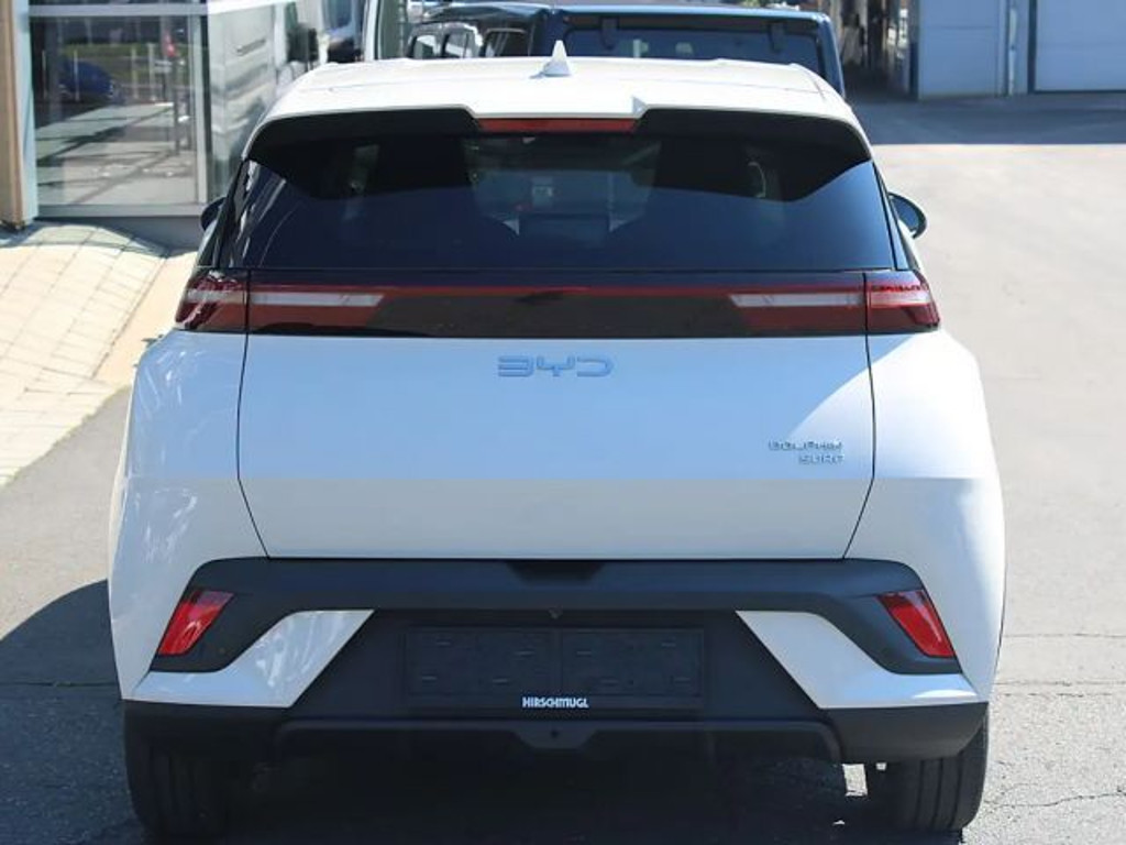 BYD Dolphin Surf