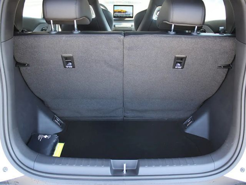 BYD Dolphin Surf