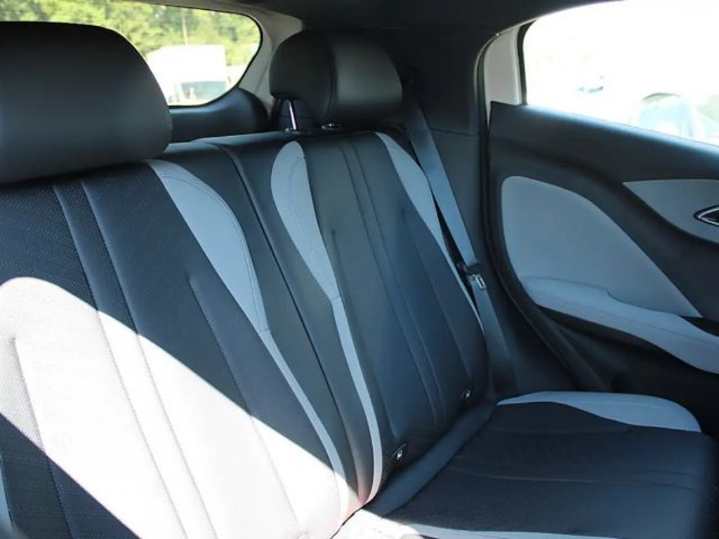BYD Dolphin Surf