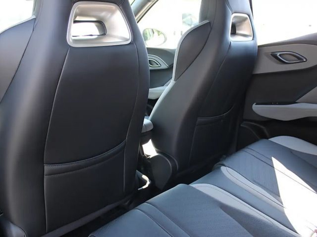 BYD Dolphin Surf