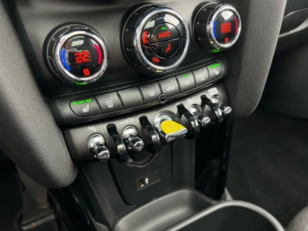 Mini Mini Electric