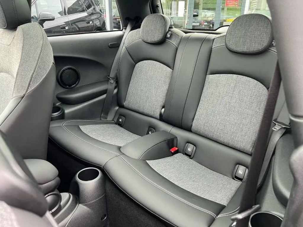 Mini Mini Electric