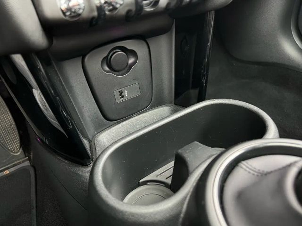 Mini Mini Electric