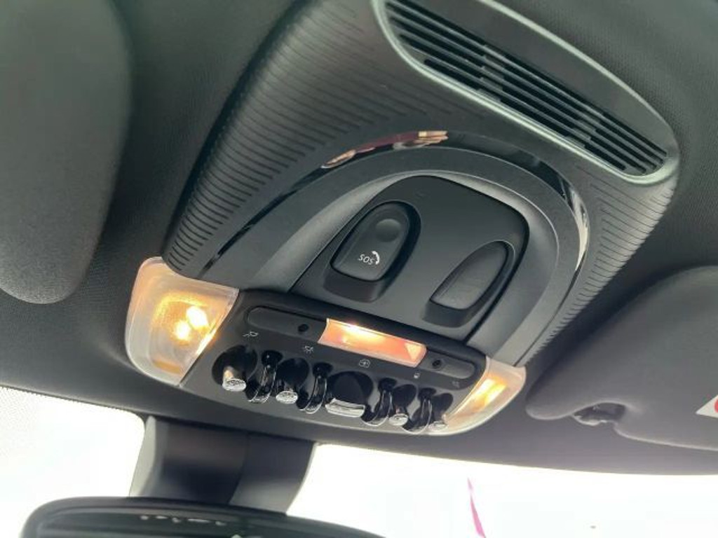 Mini Mini Electric