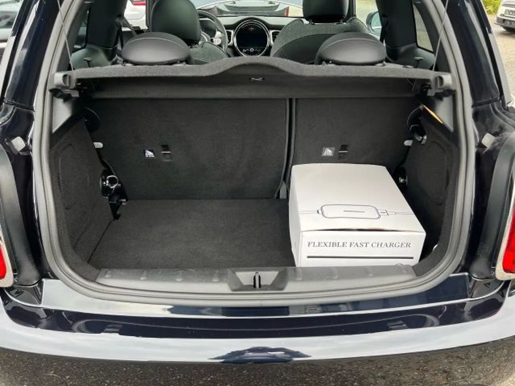 Mini Mini Electric