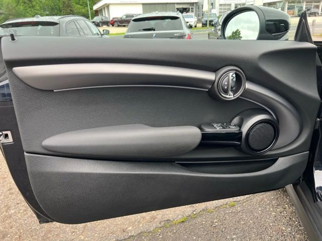Mini Mini Electric