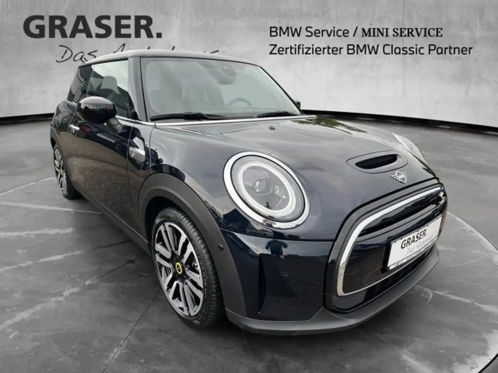 Mini Mini Electric