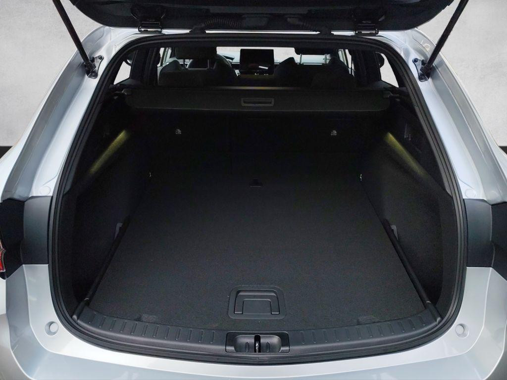 Suzuki Swace