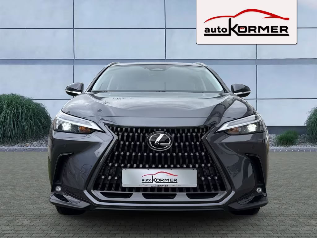 Lexus NX E-FOUR Business CarPlay,Bi-LED,el.Heckkl
