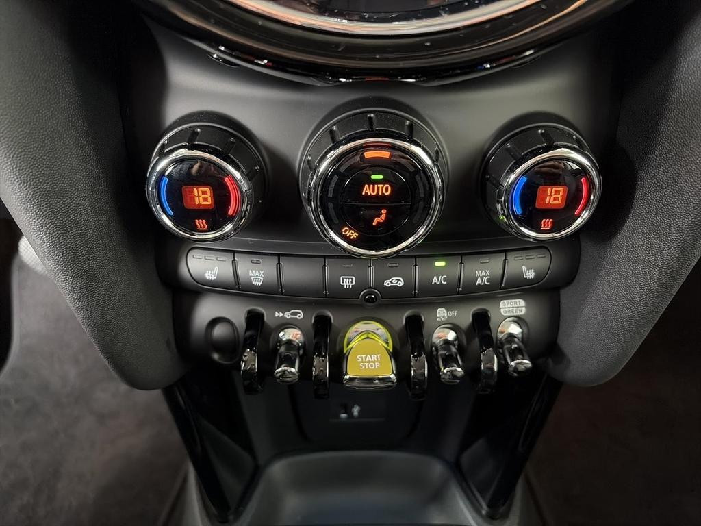 Mini Mini Electric