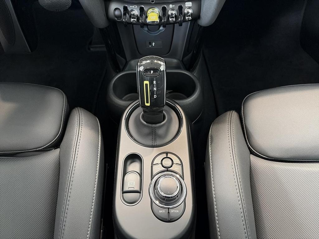 Mini Mini Electric