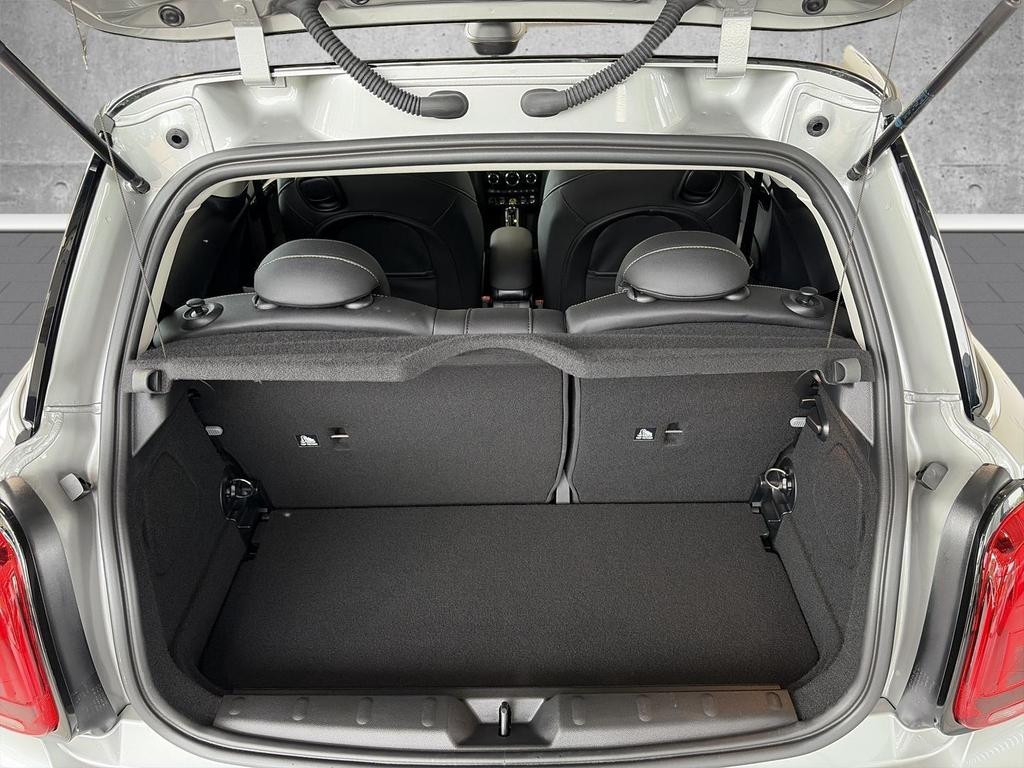 Mini Mini Electric