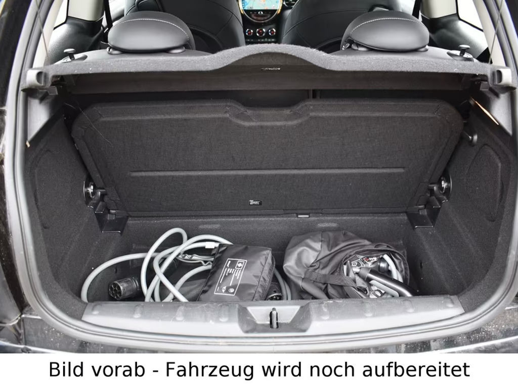 Mini Mini Electric