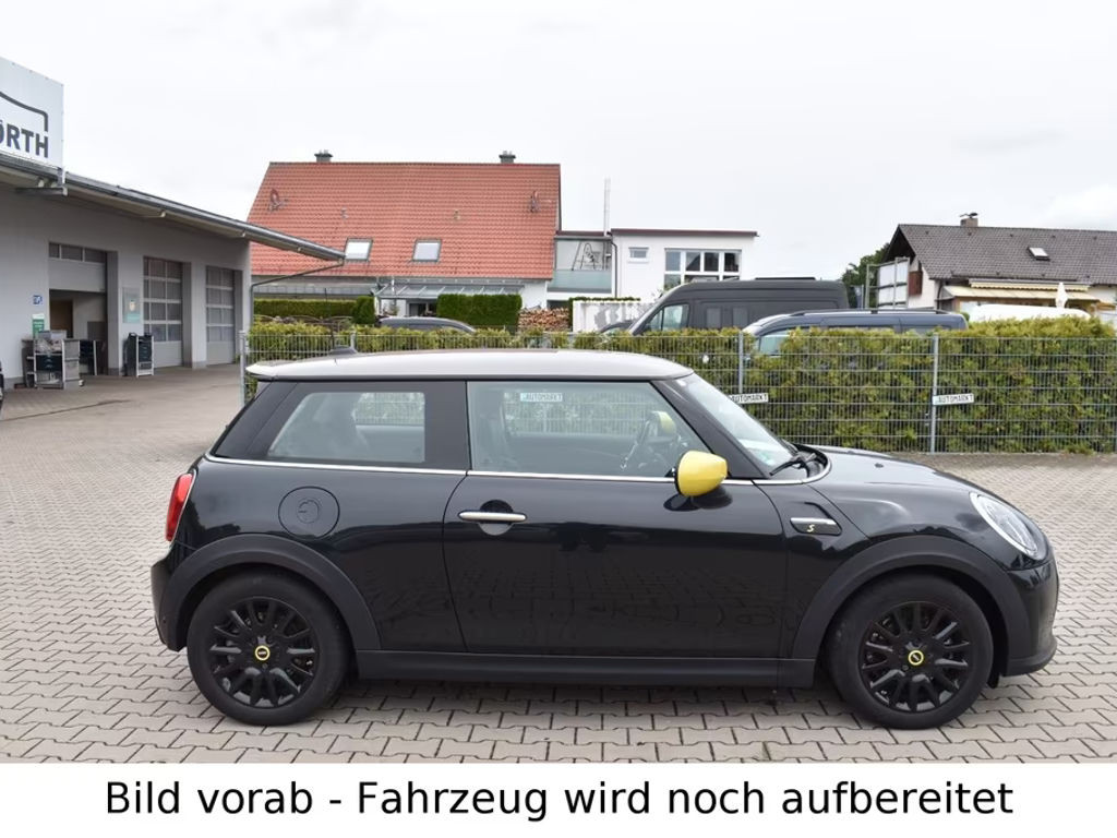 Mini Mini Electric