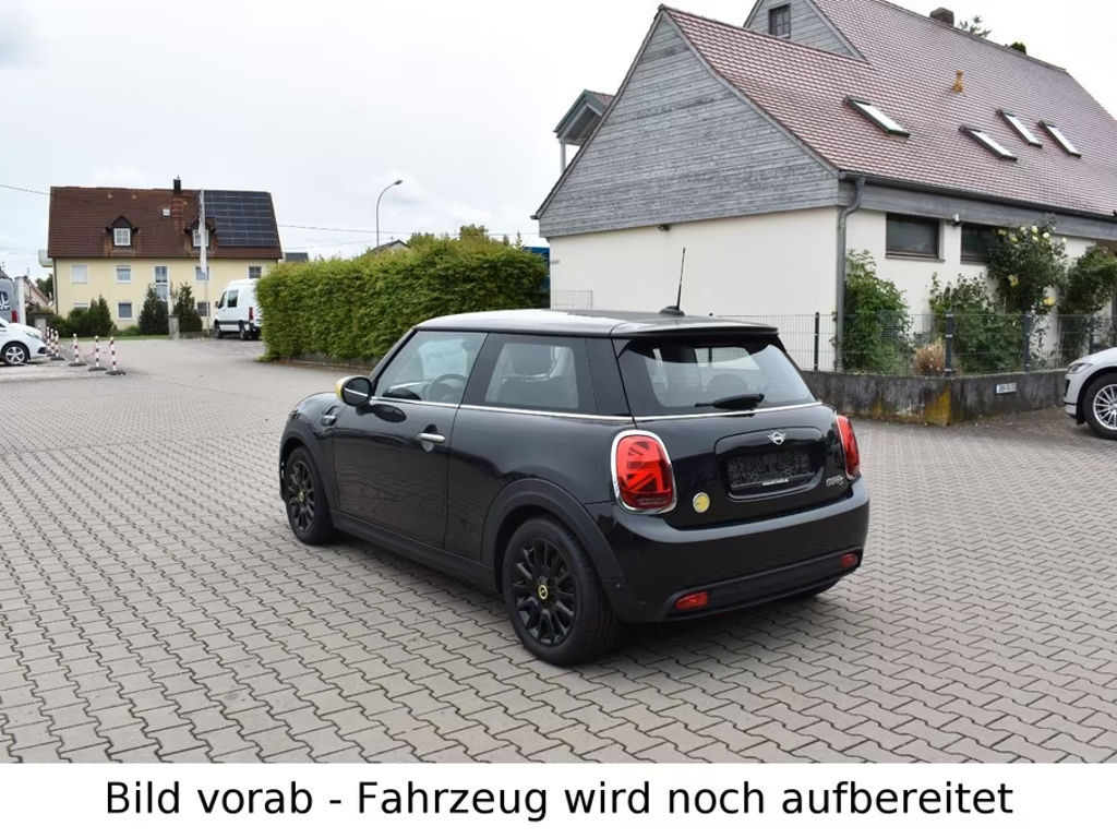 Mini Mini Electric