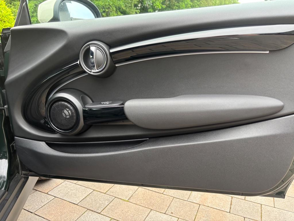 Mini Mini Electric