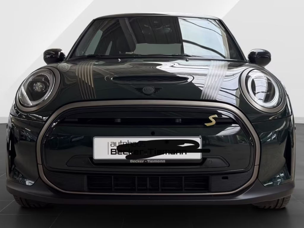 Mini Mini Electric