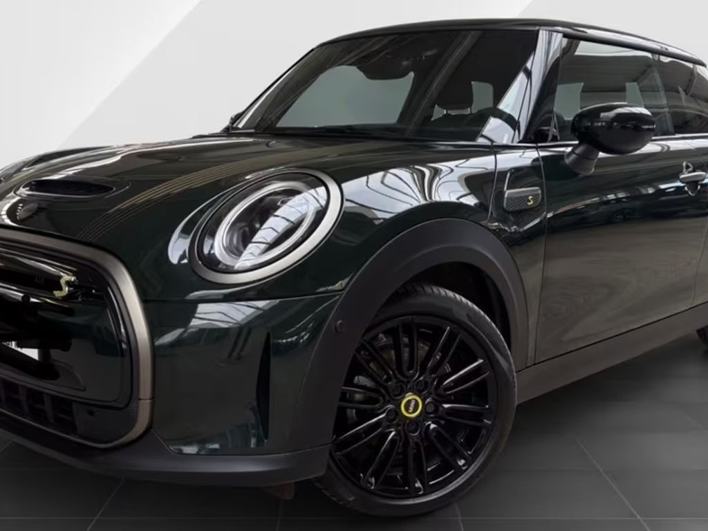Mini Mini Electric