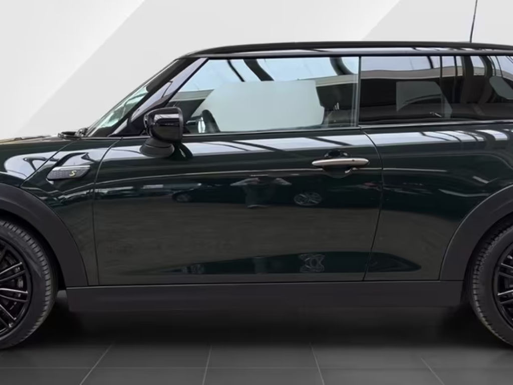 Mini Mini Electric