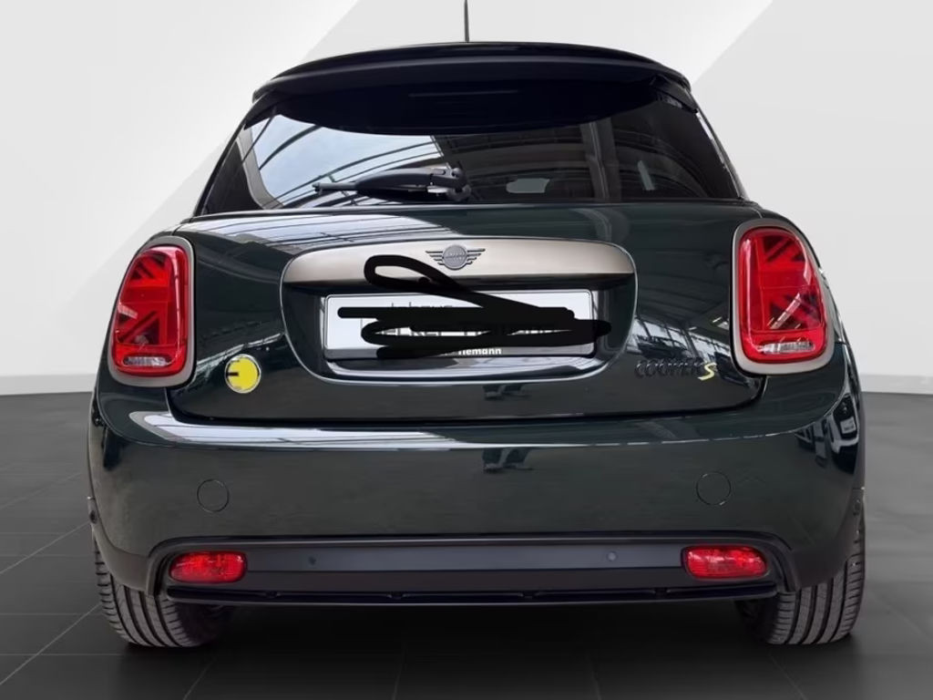 Mini Mini Electric