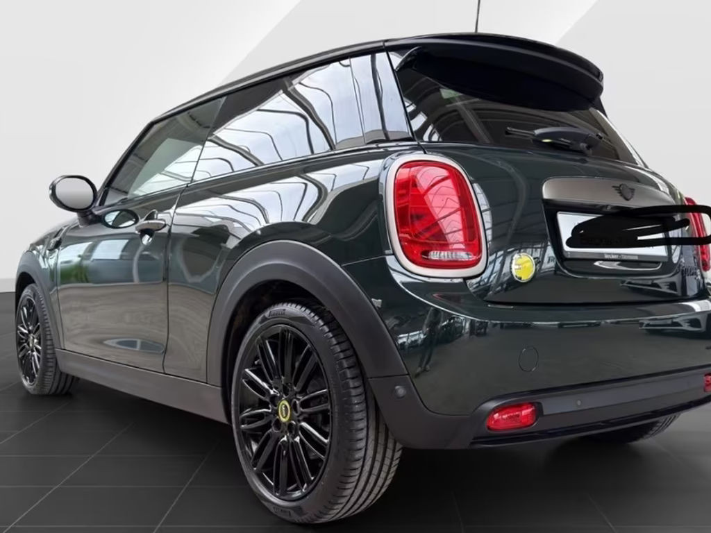 Mini Mini Electric