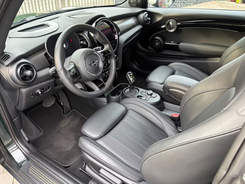 Mini Mini Electric