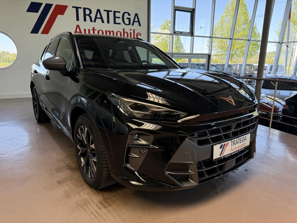 Cupra Terramar Performance 2.0 TSI