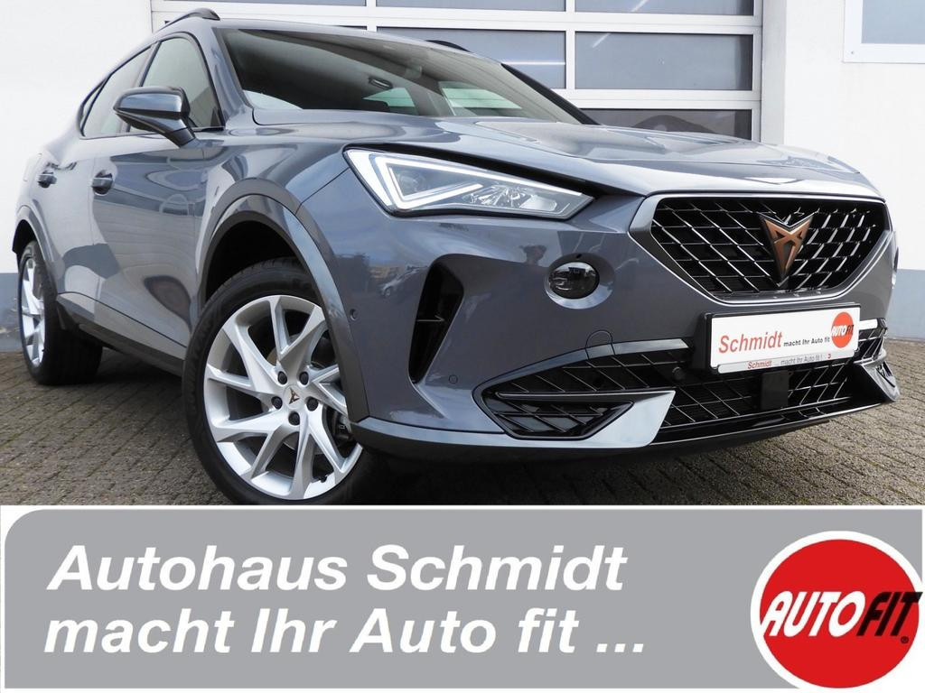 Cupra Formentor E-Heckklappe Parklenk-Ass. WinterPaket