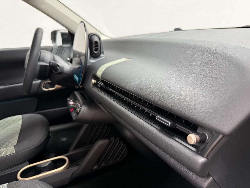 Mini Mini Electric