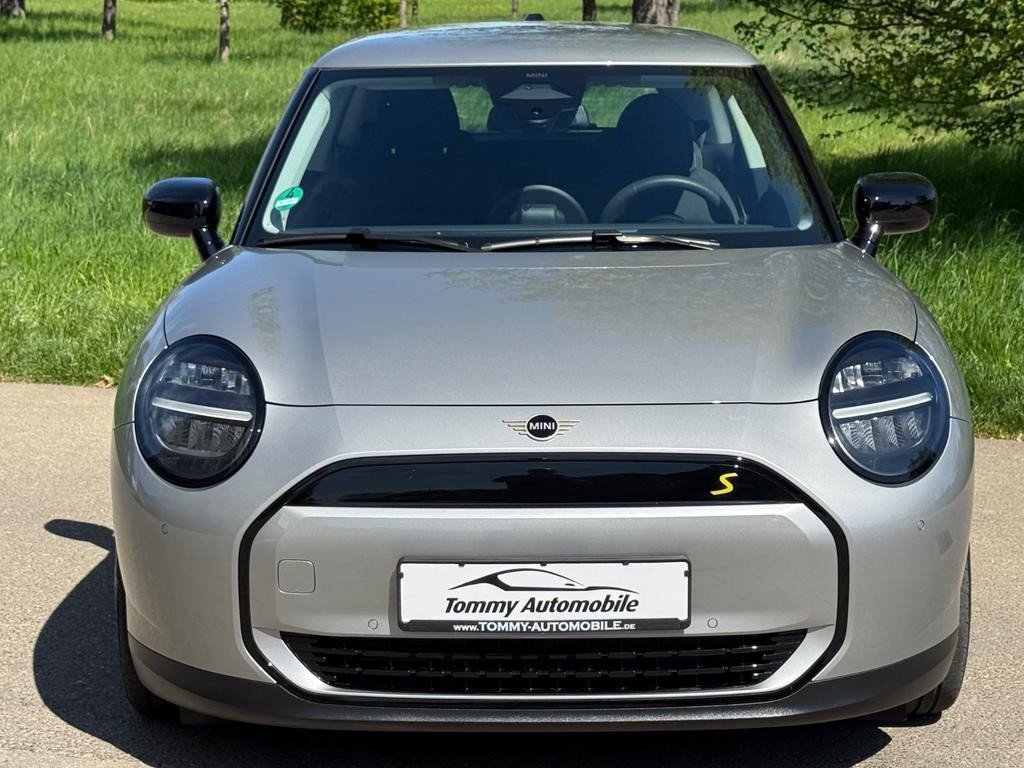 Mini Mini Electric