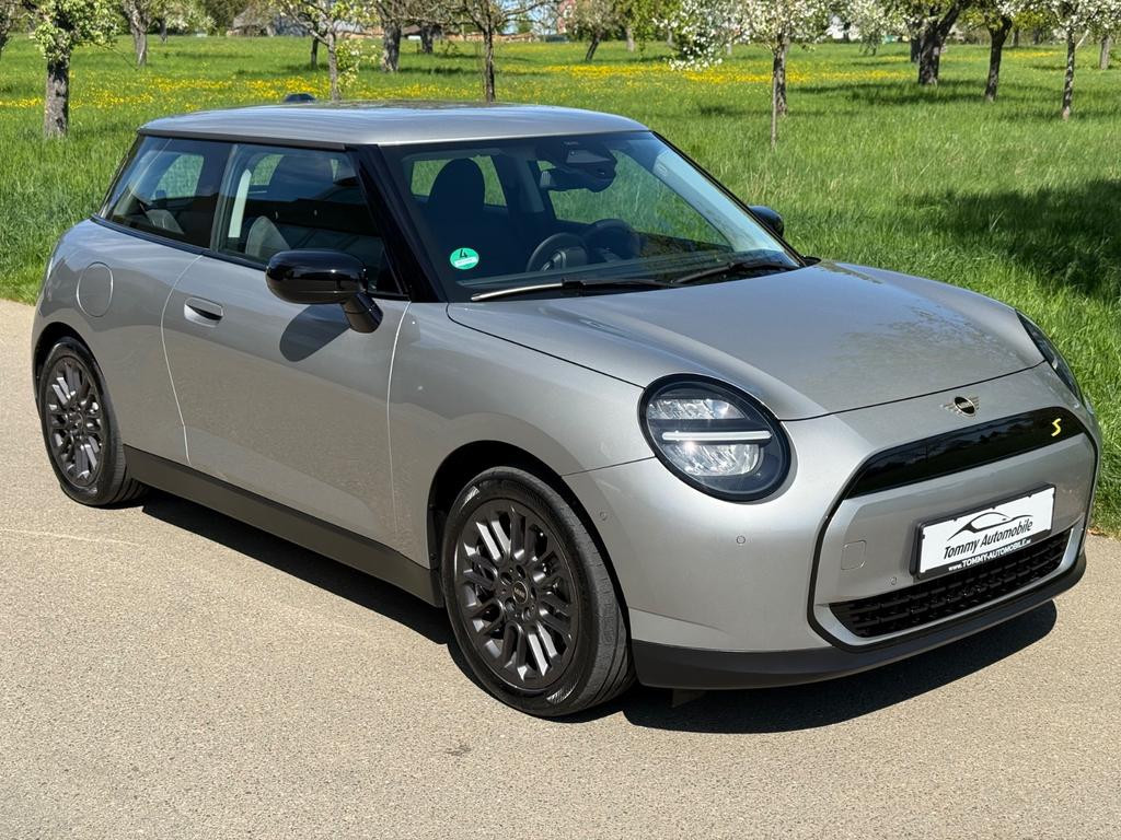 Mini Mini Electric