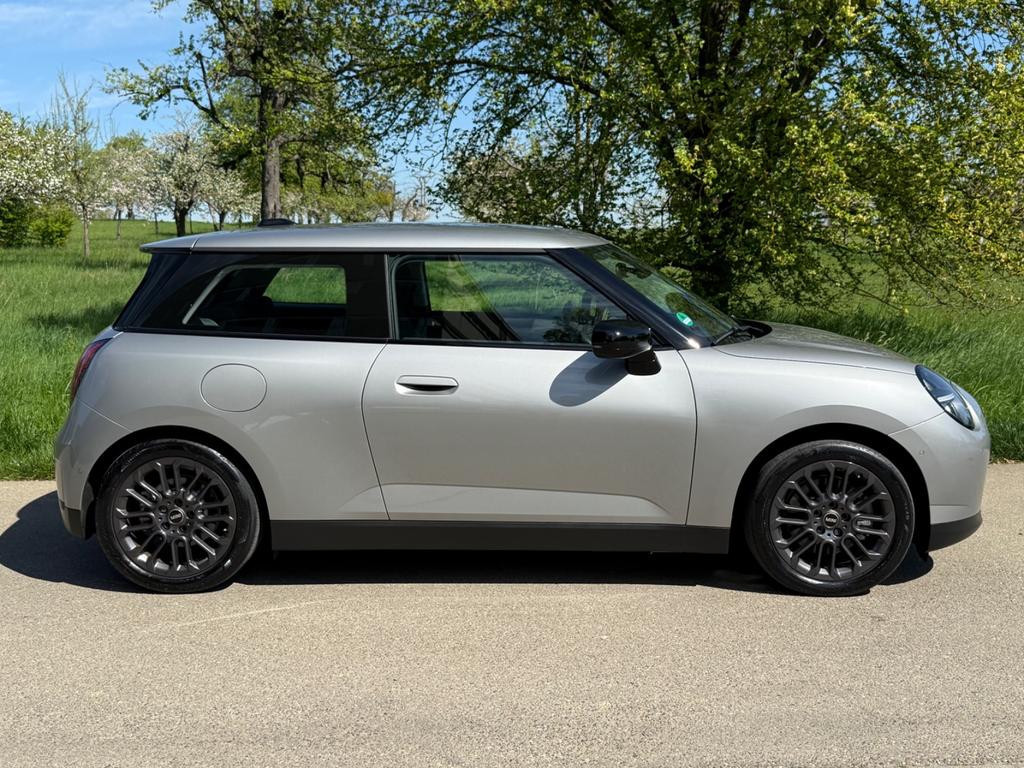 Mini Mini Electric