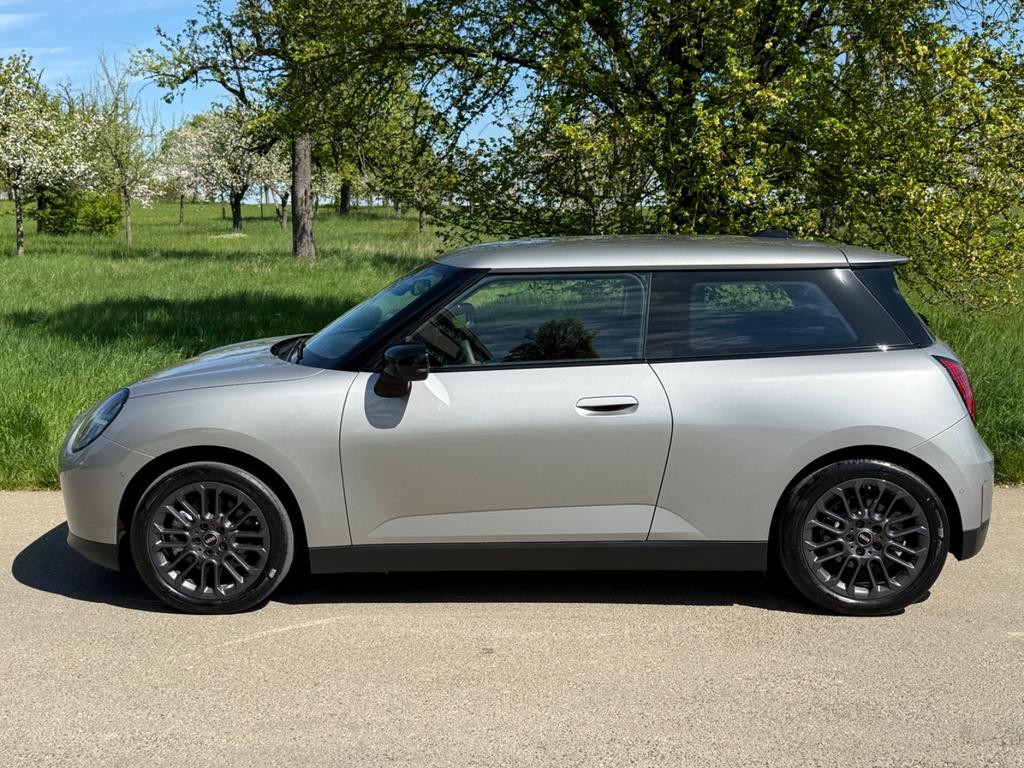 Mini Mini Electric