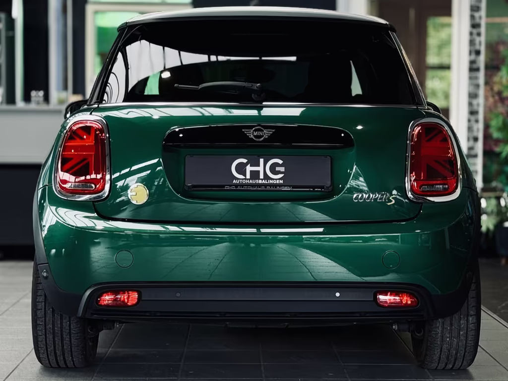 Mini Mini Electric