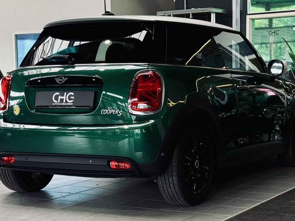 Mini Mini Electric
